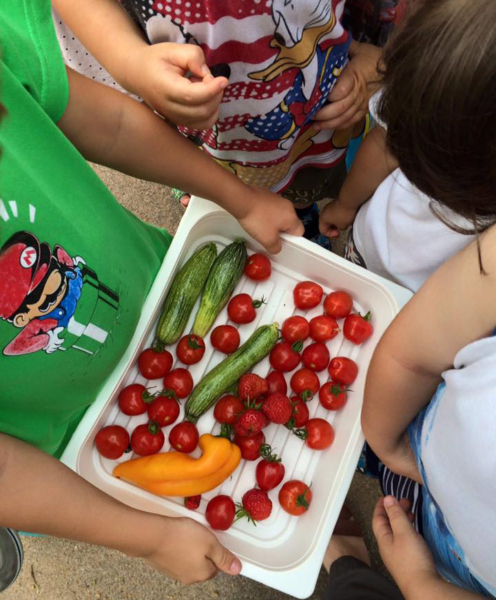 13592242_589733994538549_5123386832307760904_n