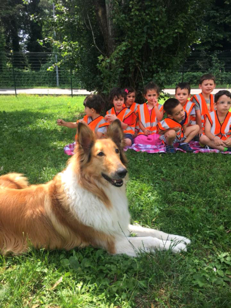 35345187_1018058891706055_6660336730870120448_n