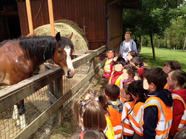 964788_163889943789625_493728469_o-1